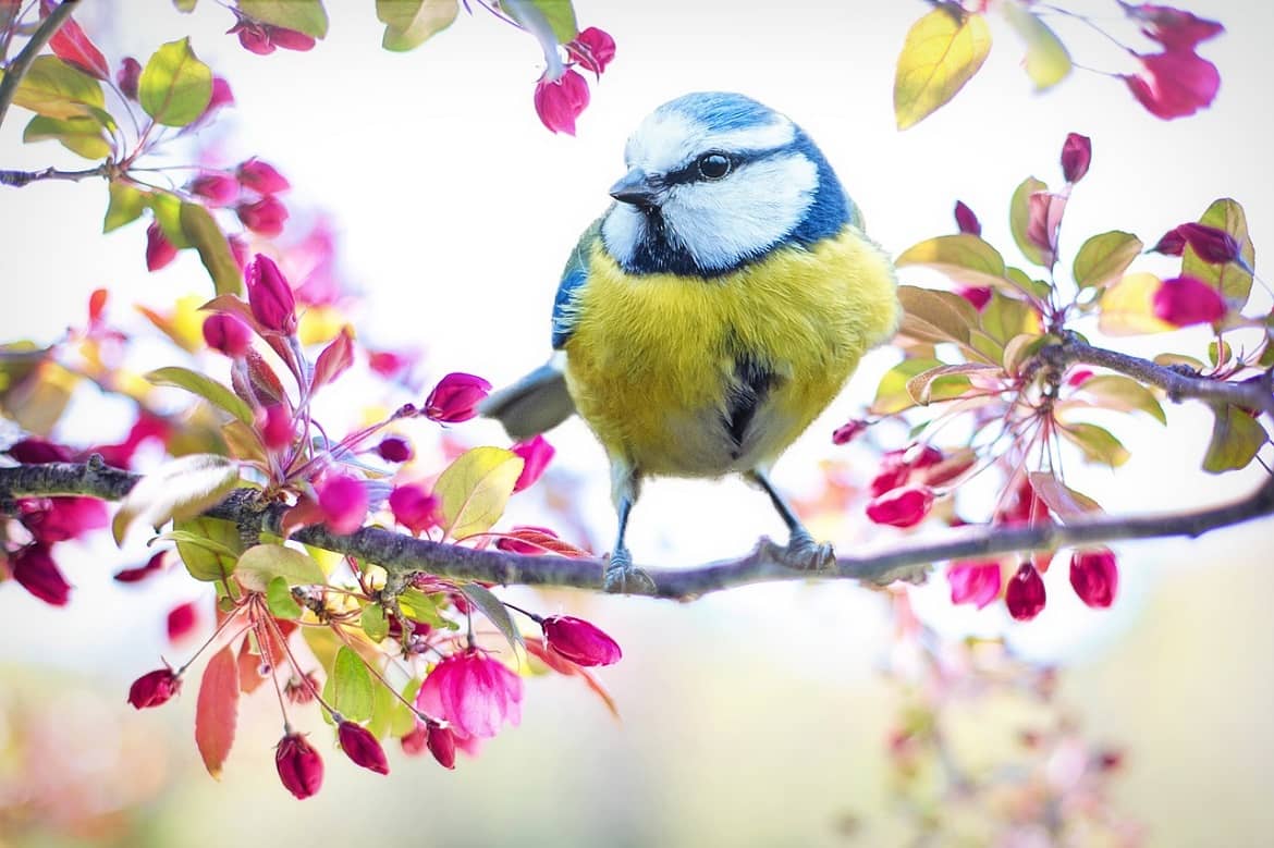 Conseils pour soutenir son foie au printemps